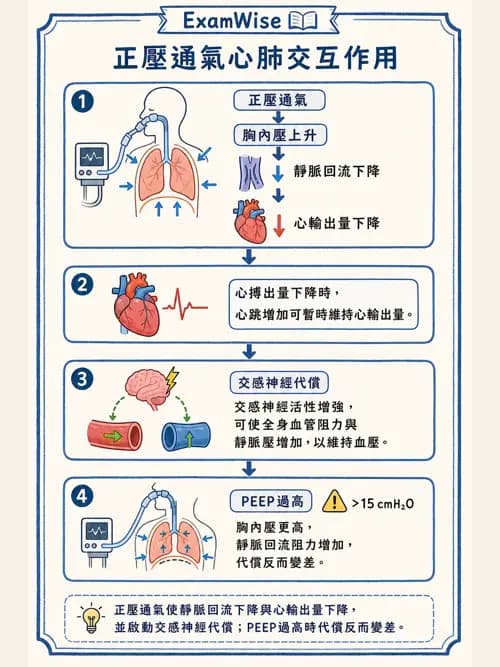 呼吸治療師 - 正壓通氣生理影響與合併症 - AI 圖文解析預覽