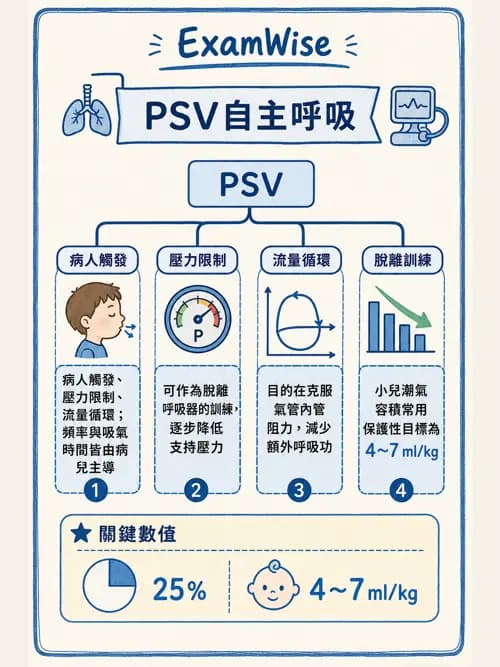 呼吸治療師 - 小兒呼吸器支持 - AI 圖文解析預覽
