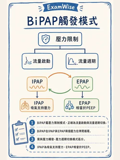 呼吸治療師 - 非侵襲性與居家通氣 - AI 圖文解析預覽
