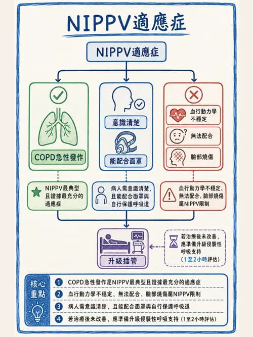 呼吸治療師 - 非侵襲性與居家通氣 - AI 圖文解析預覽
