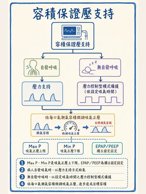 呼吸治療師 - 非侵襲性與居家通氣 - AI 圖文解析預覽