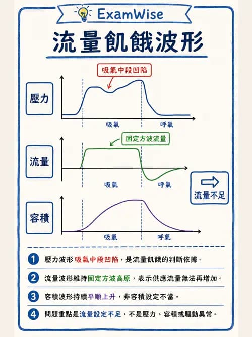 呼吸治療師 - 呼吸器圖形判讀與故障排除 - AI 圖文解析預覽