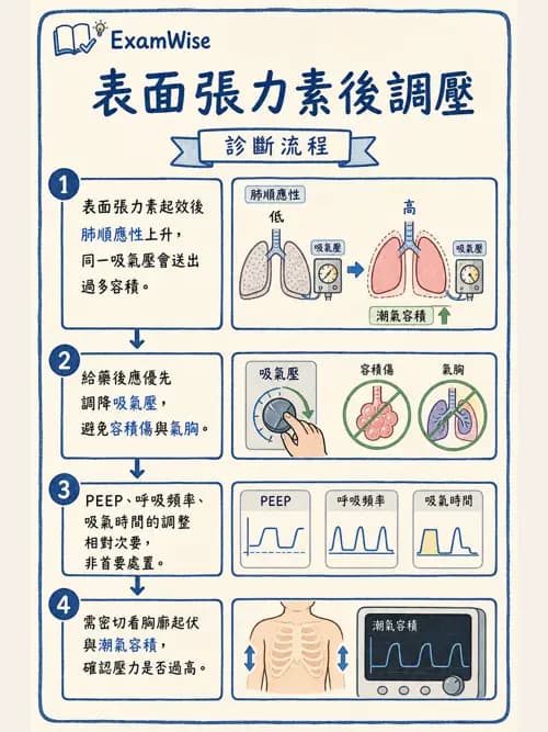 呼吸治療師 - 小兒呼吸器支持 - AI 圖文解析預覽