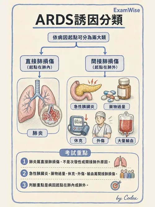 呼吸治療師 - ARDS與呼吸衰竭 - AI 圖文解析預覽