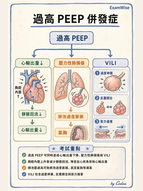 呼吸治療師 - 呼吸器併發症與感染 - AI 圖文解析預覽