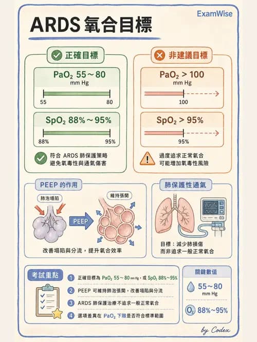呼吸治療師 - ARDS與呼吸衰竭 - AI 圖文解析預覽