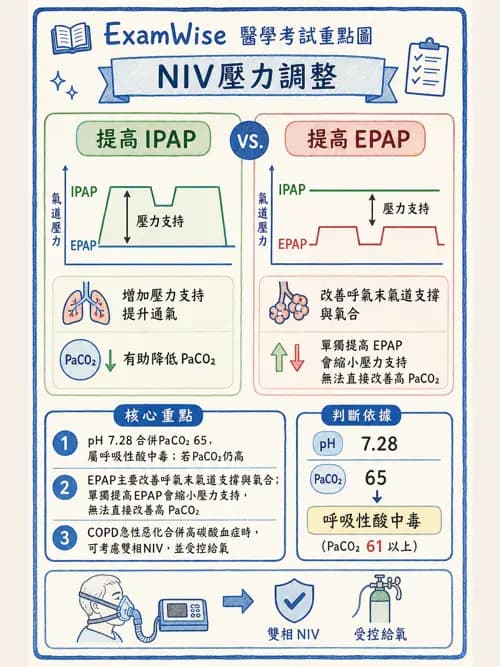 呼吸治療師 - 心臟疾病與COPD重症 - AI 圖文解析預覽