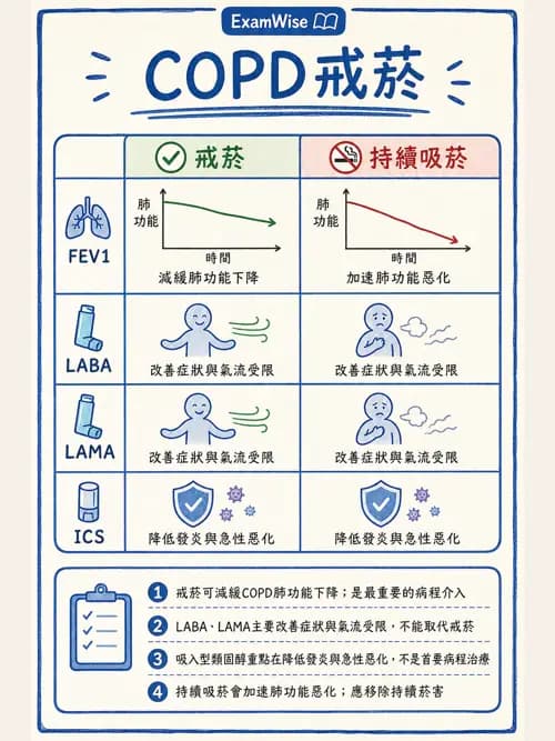 呼吸治療師 - 心臟疾病與COPD重症 - AI 圖文解析預覽