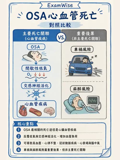 呼吸治療師 - 術後與其他呼吸重症 - AI 圖文解析預覽