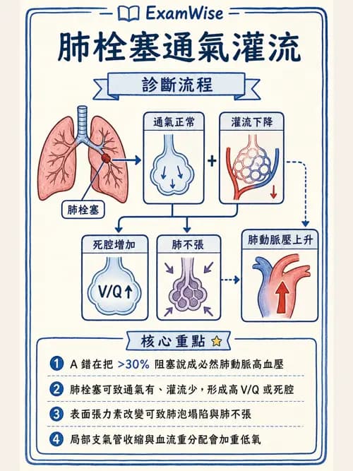 呼吸治療師 - 術後與其他呼吸重症 - AI 圖文解析預覽