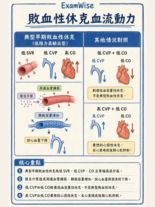 呼吸治療師 - 休克、敗血症與多器官衰竭 - AI 圖文解析預覽