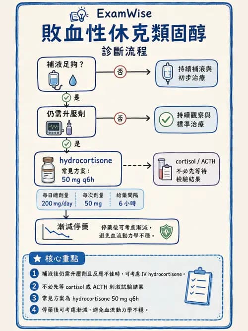 呼吸治療師 - 休克、敗血症與多器官衰竭 - AI 圖文解析預覽