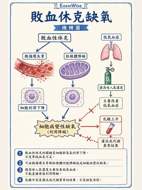 呼吸治療師 - 休克、敗血症與多器官衰竭 - AI 圖文解析預覽