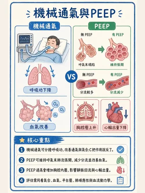 呼吸治療師 - 休克、敗血症與多器官衰竭 - AI 圖文解析預覽