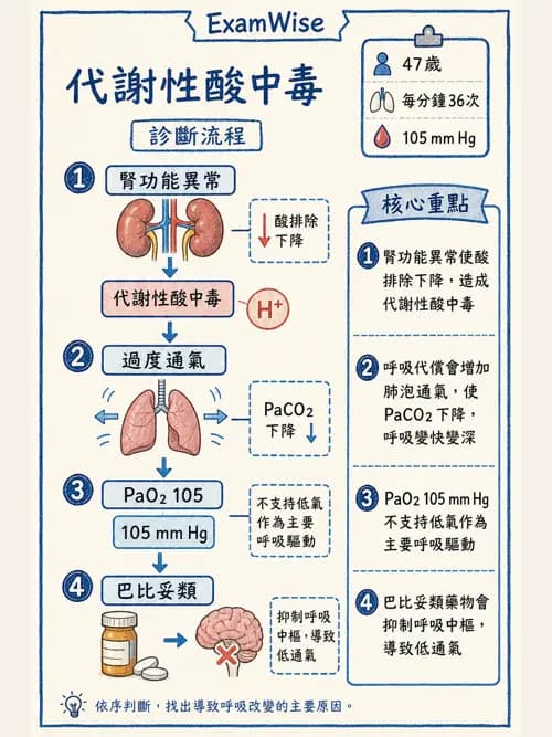 呼吸治療師 - 重症監測與判讀 - AI 圖文解析預覽