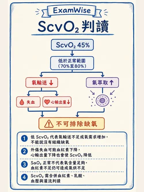 呼吸治療師 - 重症監測與判讀 - AI 圖文解析預覽