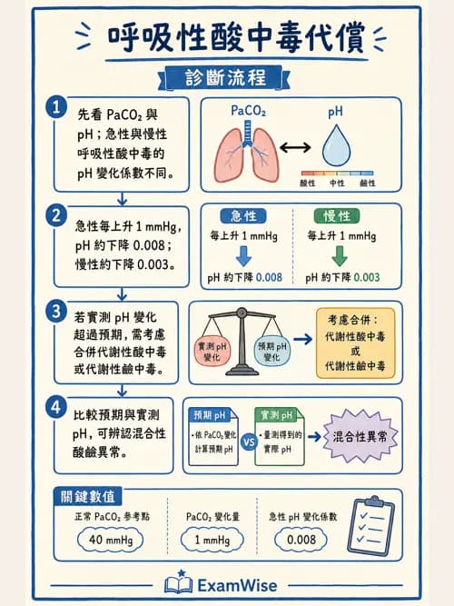 呼吸治療師 - 重症監測與判讀 - AI 圖文解析預覽
