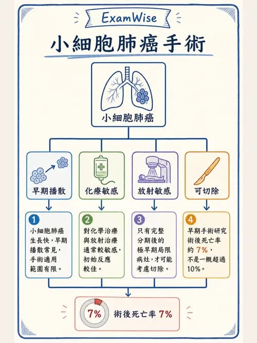 呼吸治療師 - 術後與其他呼吸重症 - AI 圖文解析預覽