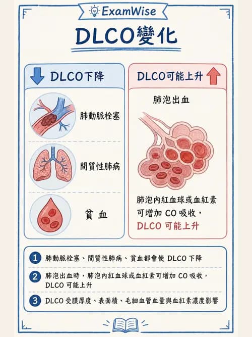 呼吸治療師 - 重症監測與判讀 - AI 圖文解析預覽