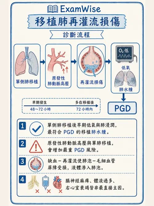 呼吸治療師 - 術後與其他呼吸重症 - AI 圖文解析預覽