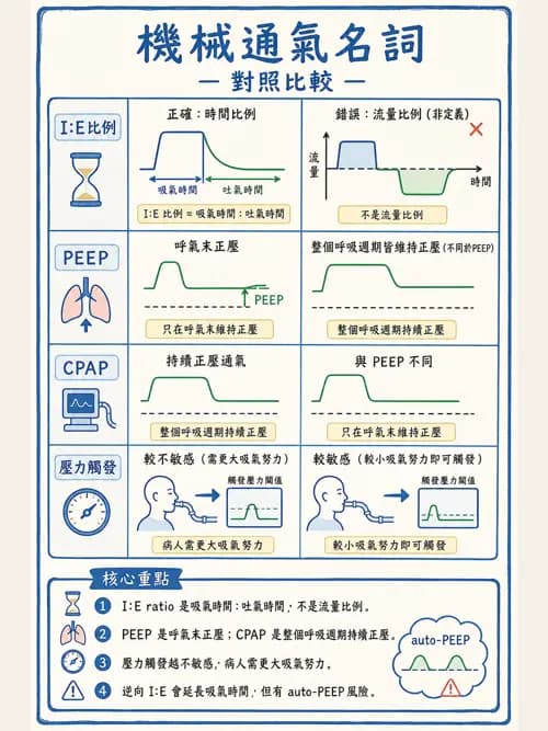 呼吸治療師 - 呼吸器併發症與感染 - AI 圖文解析預覽