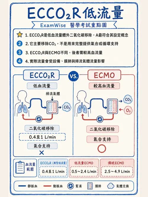 呼吸治療師 - 重症特殊處置 - AI 圖文解析預覽