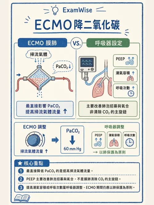 呼吸治療師 - 重症特殊處置 - AI 圖文解析預覽