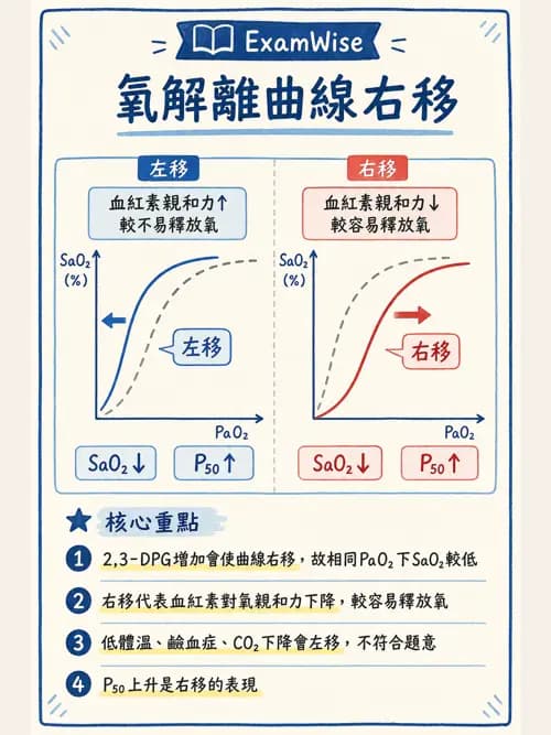 呼吸治療師 - 重症監測與判讀 - AI 圖文解析預覽