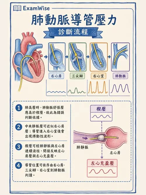 呼吸治療師 - 重症監測與判讀 - AI 圖文解析預覽