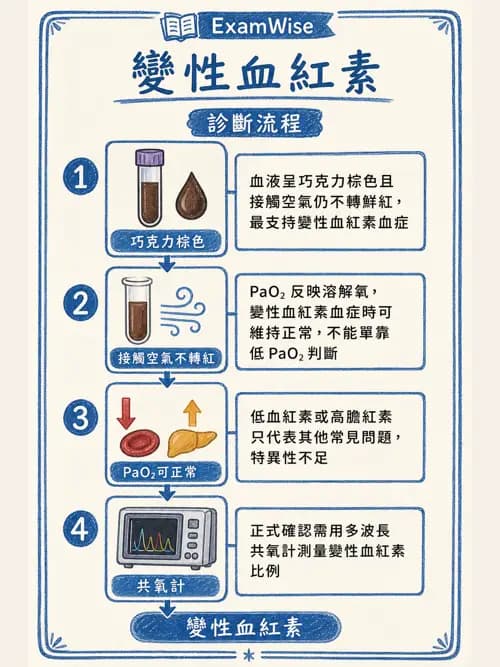 呼吸治療師 - 重症監測與判讀 - AI 圖文解析預覽