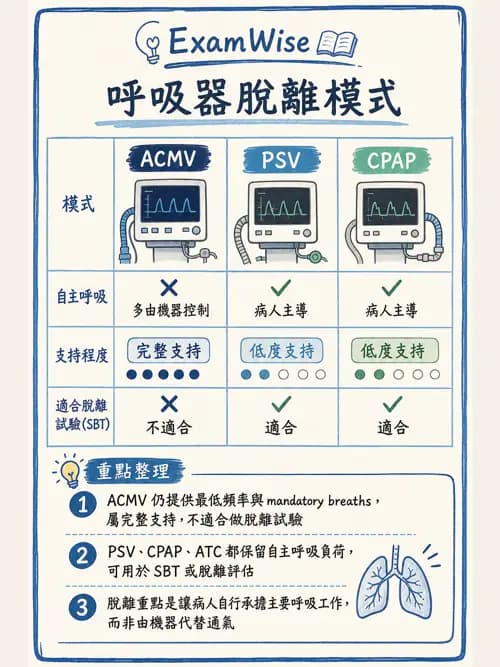 呼吸治療師 - 重症監測與判讀 - AI 圖文解析預覽