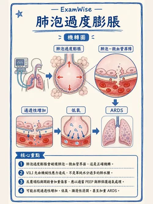 呼吸治療師 - 呼吸器併發症與感染 - AI 圖文解析預覽