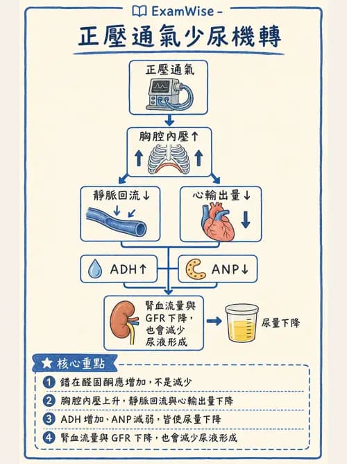 呼吸治療師 - 呼吸器併發症與感染 - AI 圖文解析預覽