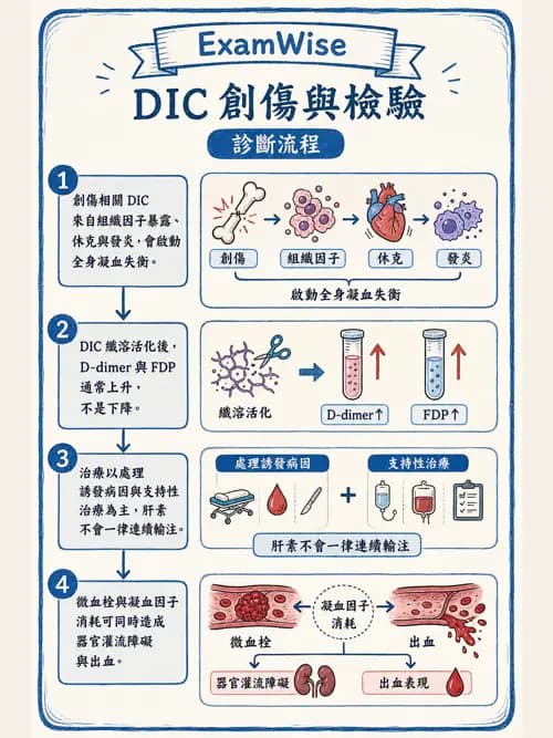 呼吸治療師 - 休克、敗血症與多器官衰竭 - AI 圖文解析預覽