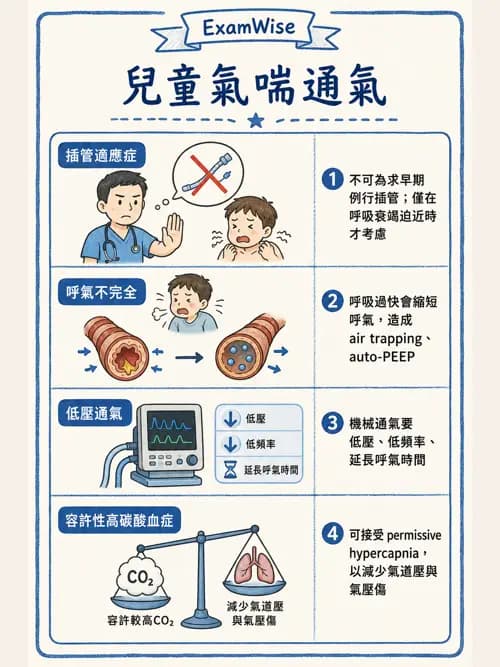 呼吸治療師 - 小兒相關重症 - AI 圖文解析預覽