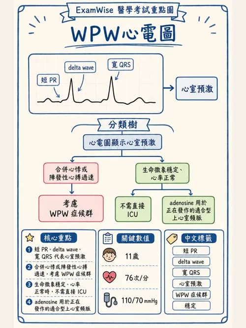 呼吸治療師 - 小兒相關重症 - AI 圖文解析預覽