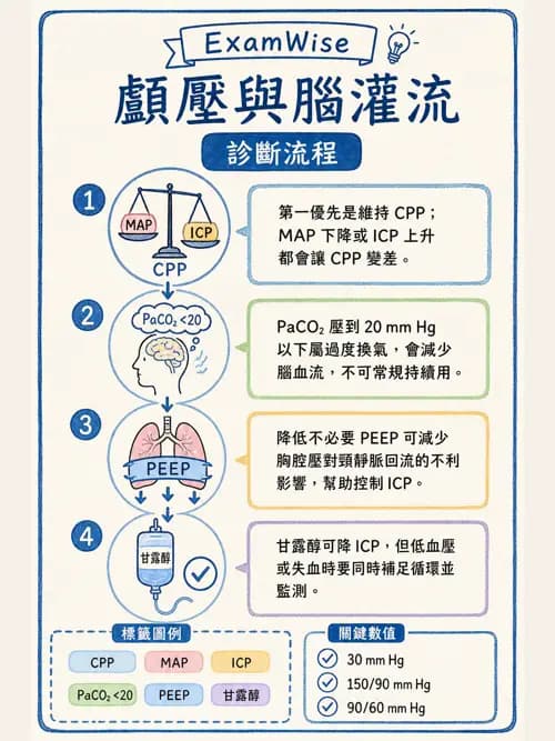 呼吸治療師 - 重症監測與判讀 - AI 圖文解析預覽