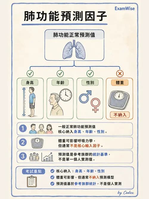 呼吸治療師 - 病人評估與衛教 - AI 圖文解析預覽