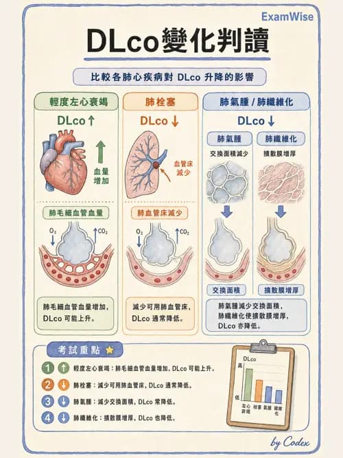 呼吸治療師 - 病人評估與衛教 - AI 圖文解析預覽