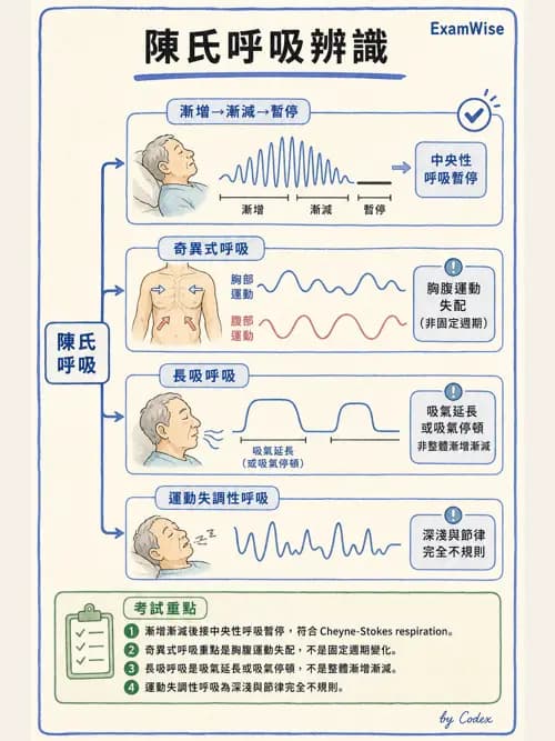 呼吸治療師 - 病人評估與衛教 - AI 圖文解析預覽