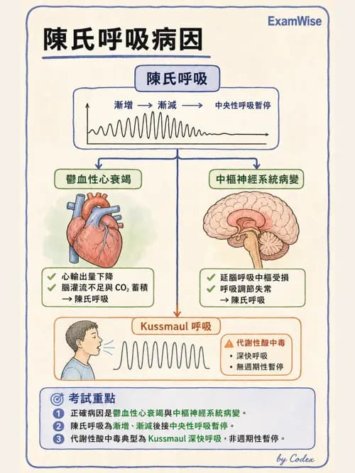 呼吸治療師 - 病人評估與衛教 - AI 圖文解析預覽