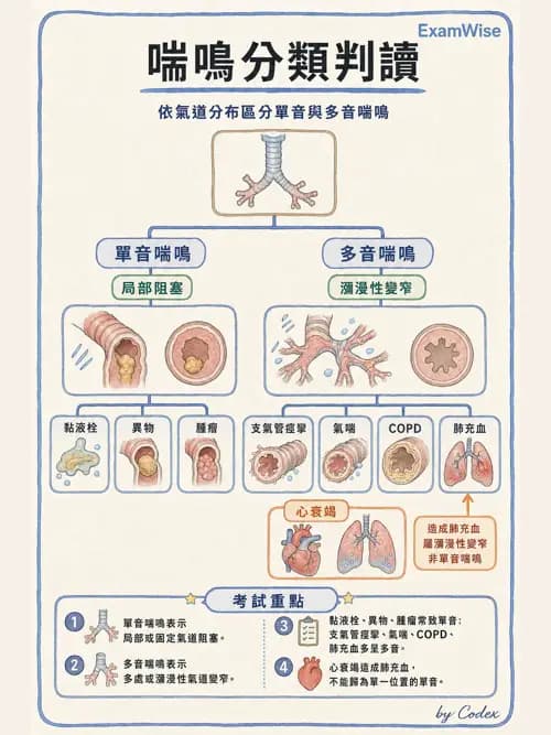 呼吸治療師 - 病人評估與衛教 - AI 圖文解析預覽