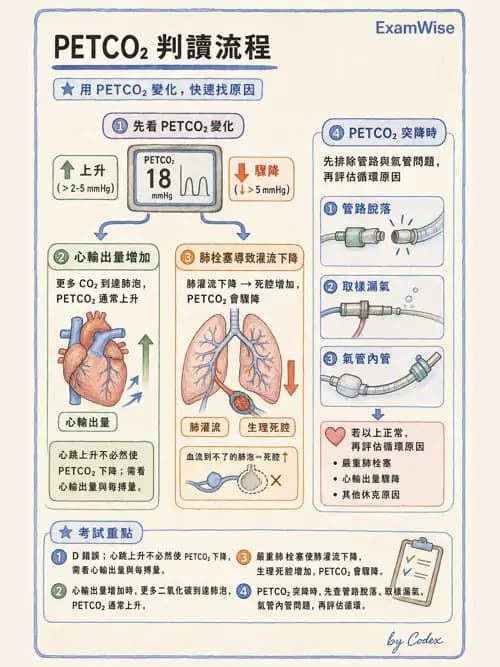 呼吸治療師 - 病人評估與衛教 - AI 圖文解析預覽