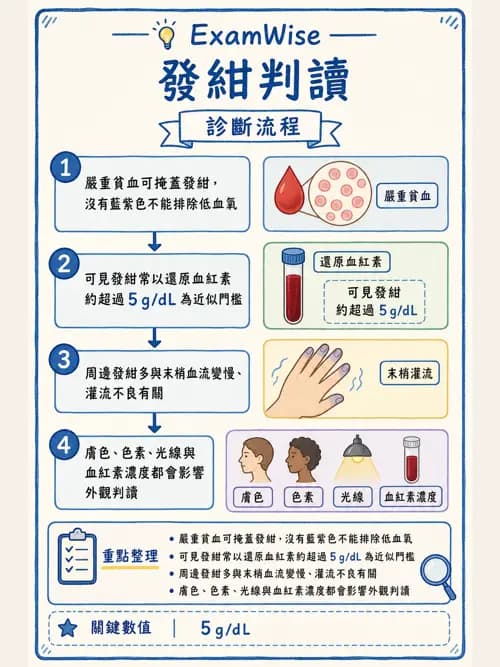 呼吸治療師 - 病人評估與衛教 - AI 圖文解析預覽