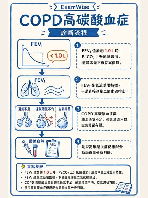 呼吸治療師 - 慢性氣道疾病 - AI 圖文解析預覽