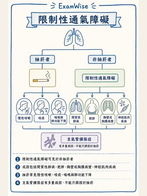 呼吸治療師 - 慢性氣道疾病 - AI 圖文解析預覽