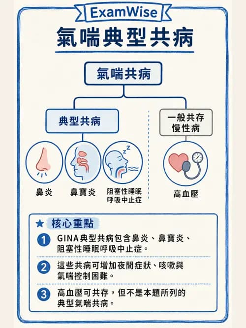 呼吸治療師 - 慢性氣道疾病 - AI 圖文解析預覽