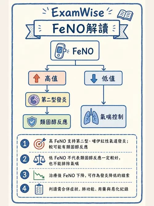 呼吸治療師 - 慢性氣道疾病 - AI 圖文解析預覽