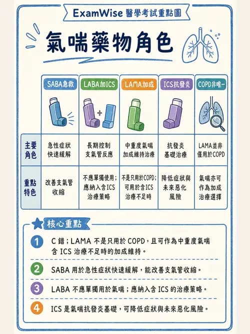 呼吸治療師 - 慢性氣道疾病 - AI 圖文解析預覽