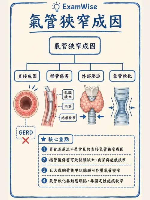 呼吸治療師 - 慢性氣道疾病 - AI 圖文解析預覽